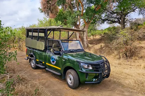Sabi Private Game Reserve Safari | Blue Giraffe SA